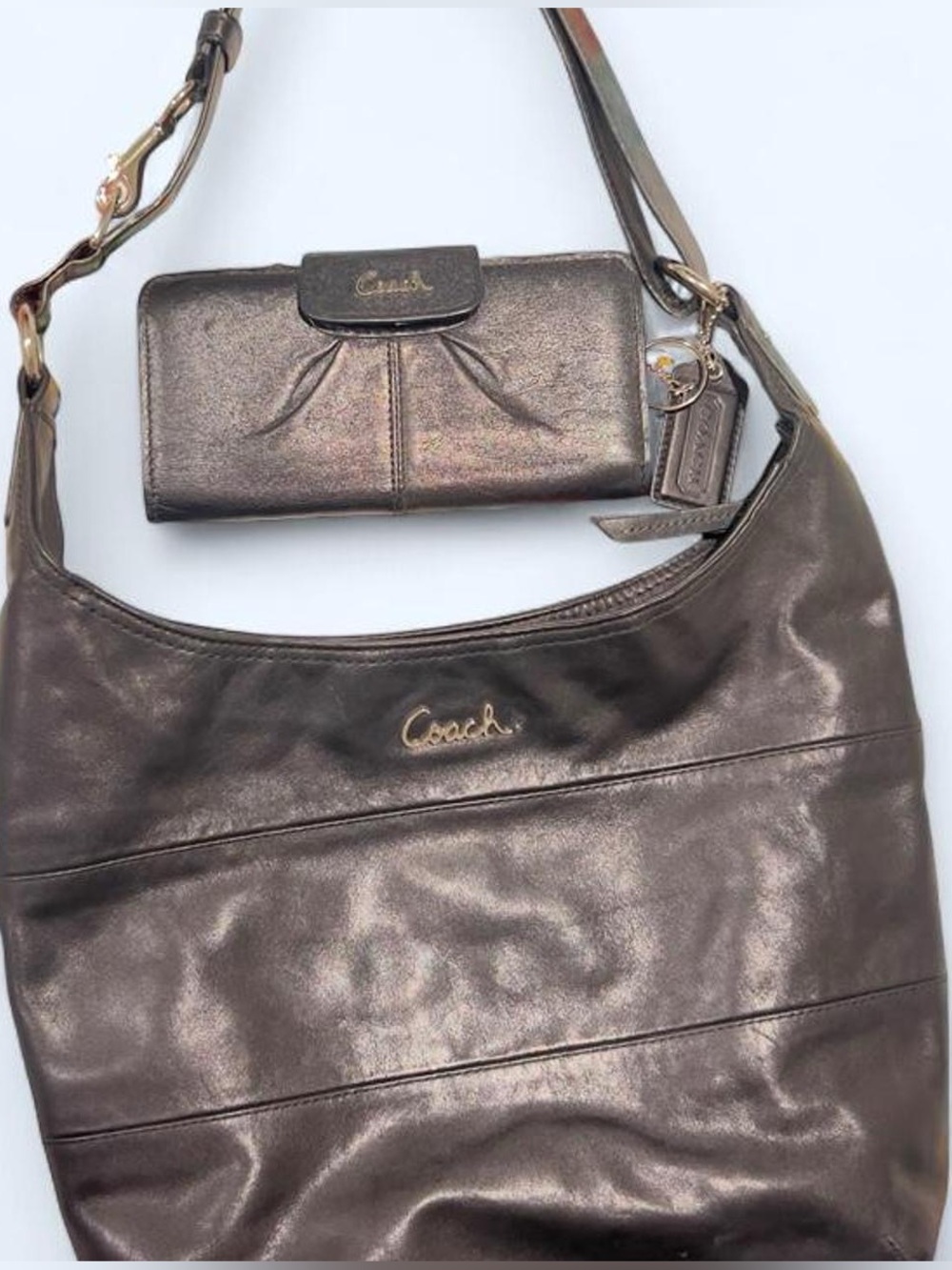 Coach - Picture 1 of 14